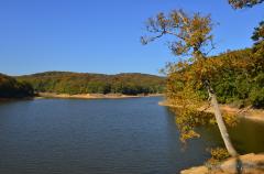 Belgrad_Ormanı